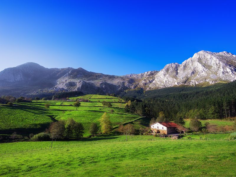 Impacto Fiscal del Divorcio